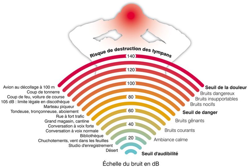 L'atténuation-3  Apprendre et comprendre